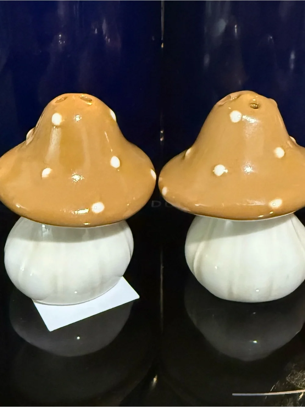 Mini mushroom salt and pepper shakers super cute nwt